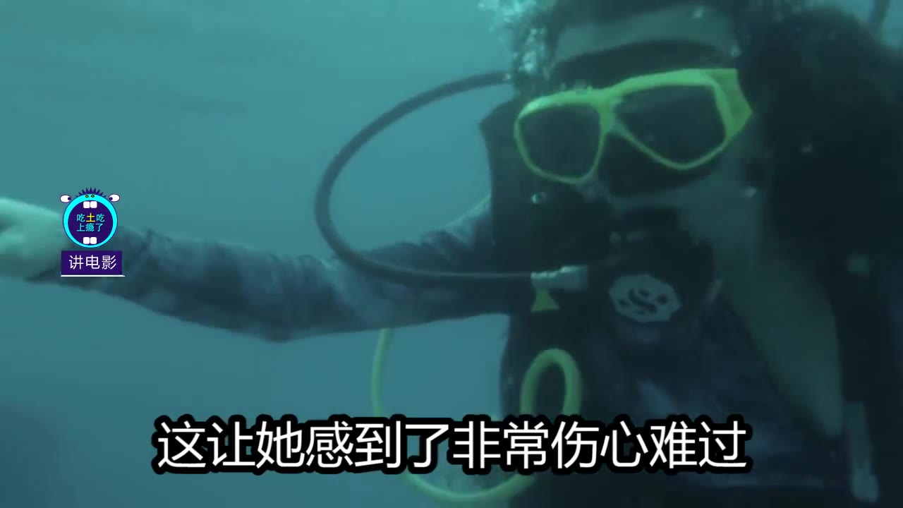 【吃土吃上瘾了】讲电影《狂乱》外国网红闯入鲨鱼保护区